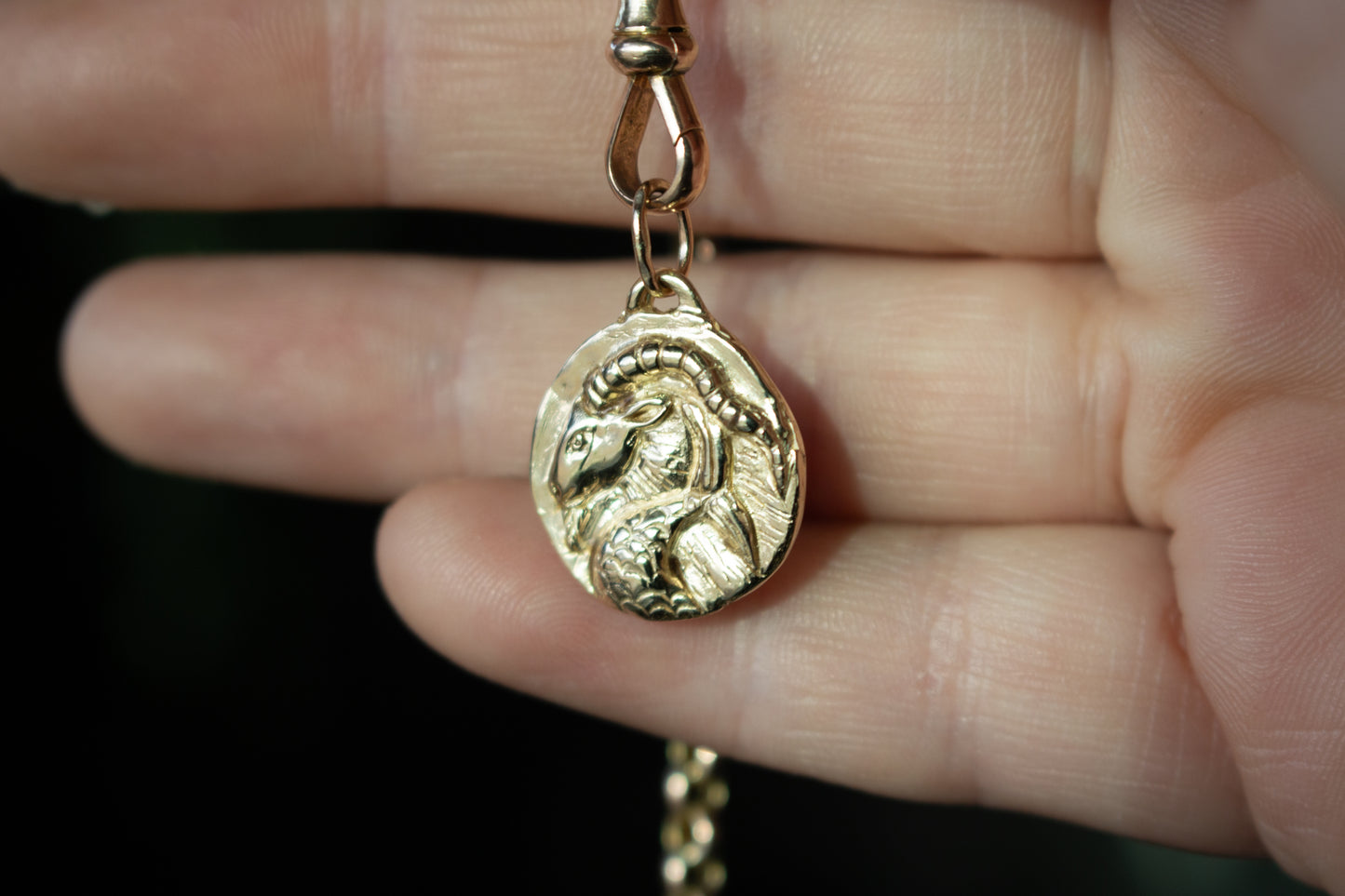 Capricorn