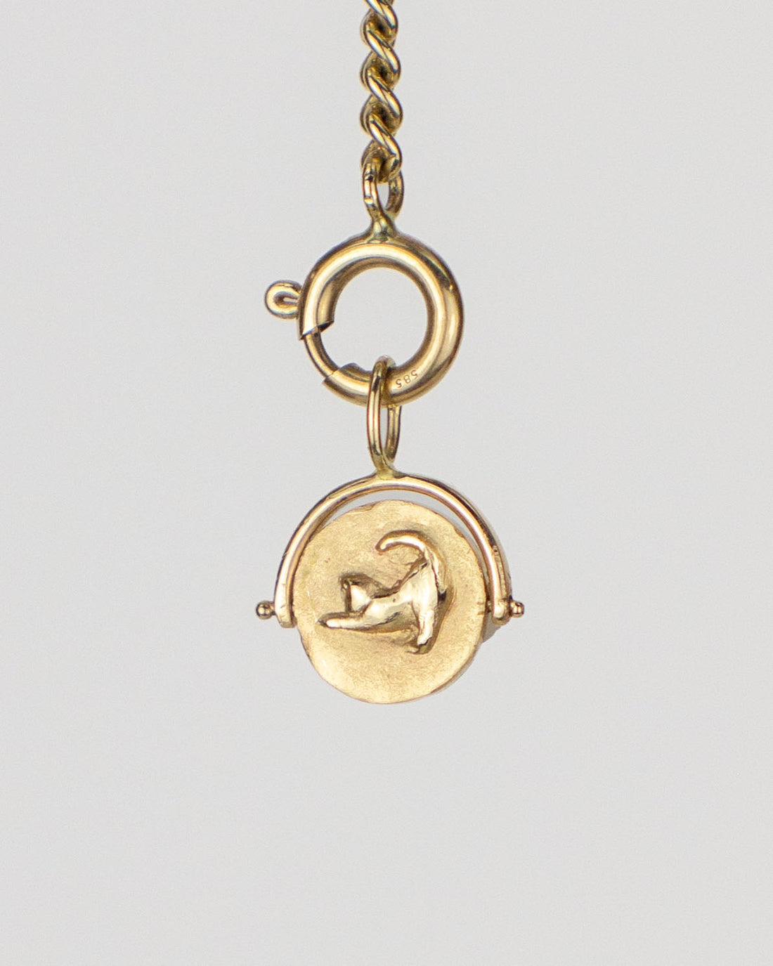 Kitty Spinner