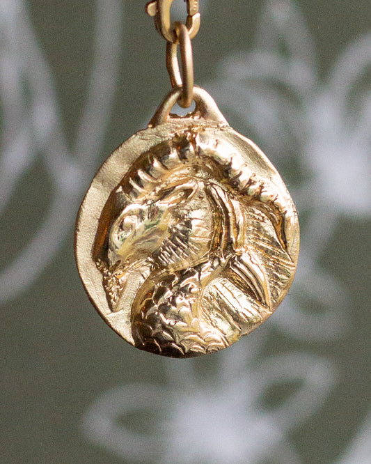 Capricorn