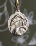 Capricorn