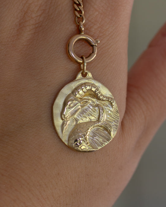 Capricorn