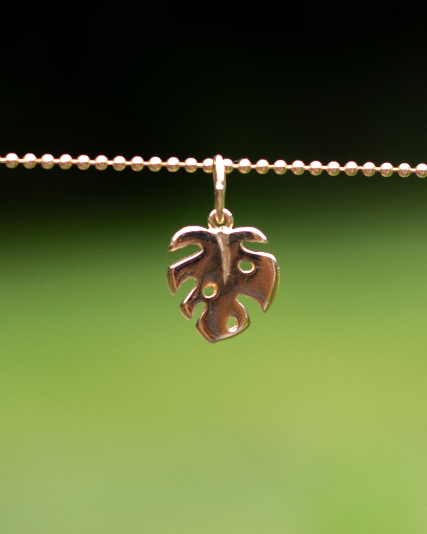 14K Monstera Charm