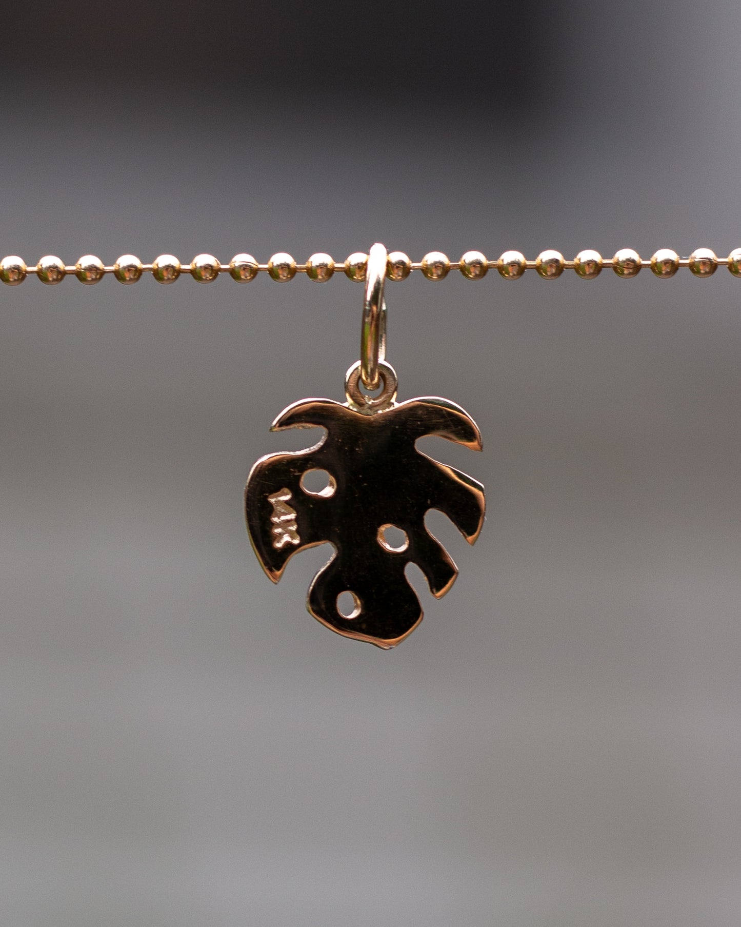 14K Monstera Charm