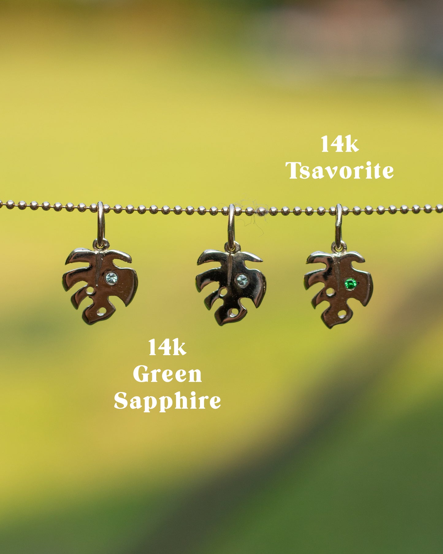 14K Monstera Charm