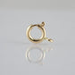 10mm Spring Ring