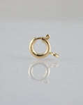 10mm Spring Ring