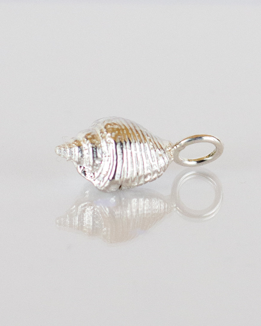 No. 6 | Silver