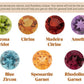 14K Skim Pendant - Choose Your Own Stone